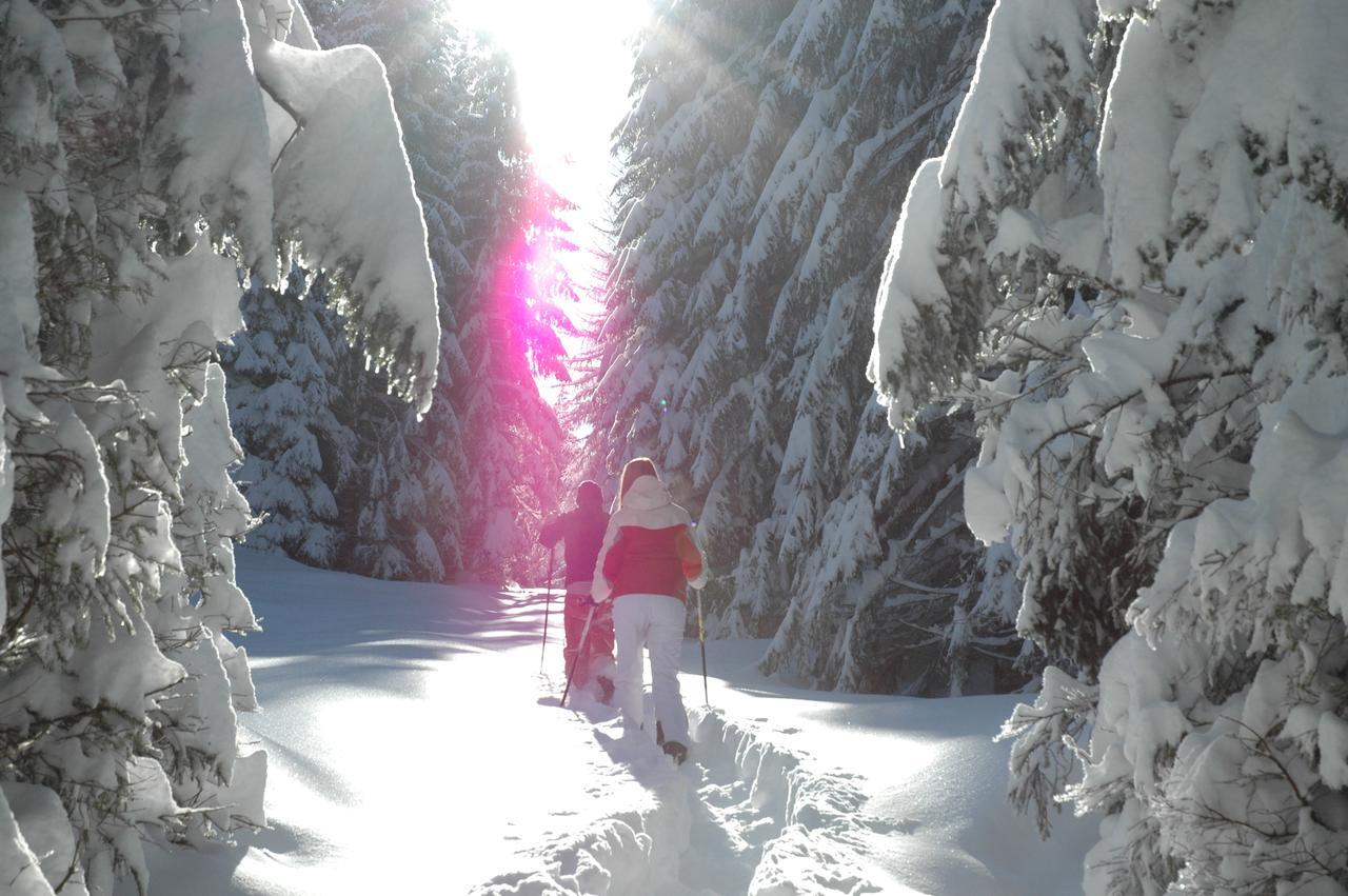House Neza Lägenhet Kranjska Gora Exteriör bild