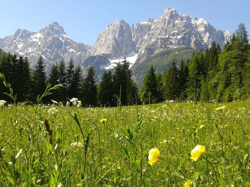 House Neza Lägenhet Kranjska Gora Exteriör bild